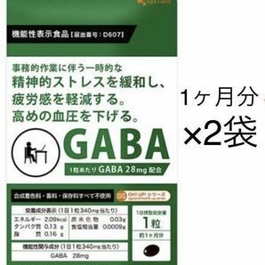 ★送料無料★GABA 約2ヶ月分(1ヶ月分30粒×2袋)オーガランド サプリメント 機能性表示食品 血圧 改善 ストレス 軽減 ギャバ