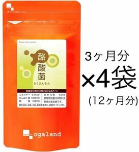 ★送料無料★酪酸菌 約12ヶ月分(2025.6~)(3ヶ月分90粒入り×4袋)大容量 腸内フローラ オーガランド サプリメント