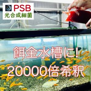 【PSB】光合成細菌 1L（500mL x 2袋）バクテリアの画像3