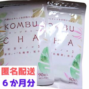 約６か月分　９０粒入り×２袋　コンブチャ KOMBUCHA　サプリメント シードコムス　賞味期限2026.5