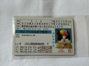 全日本暴猫連合 なめんなよ なめ猫 カードコレクション 運転免許証 ミーコ ブルー 当時物