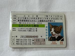 全日本暴猫連合 なめんなよ なめ猫 カードコレクション 運転免許証 ニャン吉 グリーン 当時物