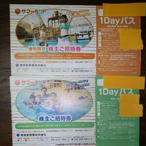 東京都競馬　株主優待　東京サマーランド　1dayパス　2種×8枚計16枚　送料無料_画像1