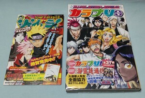 BLEACH ブリーチ カラブリ+ 原作:久保帯人 初版 帯付 チラシ カード未開封