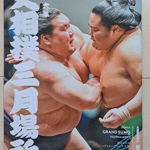 大相撲　三月場所　照ノ富士　限定　SPORTS　格闘　パンフレット