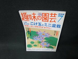 NHK趣味の園芸2004年7月号　こけ玉とミニ盆栽/TDC