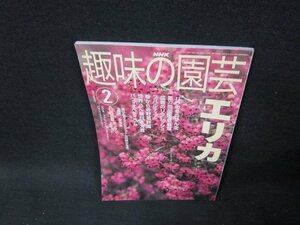 NHK趣味の園芸2002年2月号　エリカ/TDC