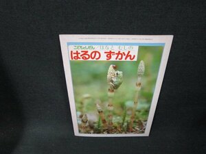 こどもとしぜんはなとむしのはるのずかん　日焼け強め/TDZH