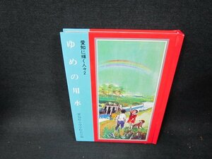 愛知に輝く人々2　ゆめの用水　カバー無シミ有/TFF