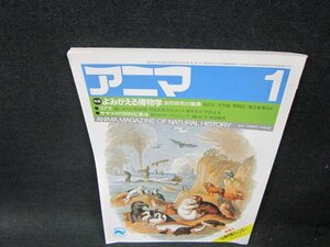 アニマ1985年1月号　よみがえる博物学　日焼け強め歪み折れ目有/TFU