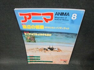 アニマ1982年8月号　海辺の観察　シミ有/TFV