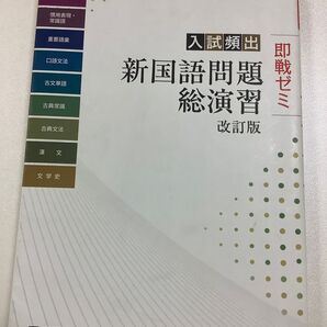 新国語問題総演習　即戦ゼミ