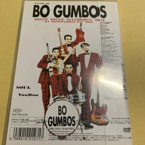 BO GUMBOS ボ・ガンボス / HOT HOT GUMBO ’92 / ’93 DVDの画像2
