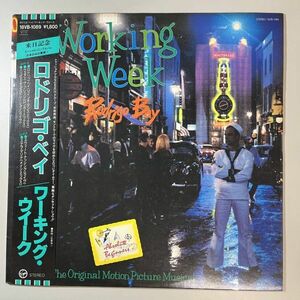 43439【日本盤】 Working Week / Rodrigo Bay ※帯付き