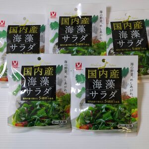 ヤマナカフーズ 国内産海藻サラダ 7g×5袋