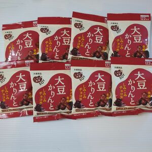 大塚食品 しぜん食感SOY 大豆かりんと しみこみチョコ味 25g ８個セット