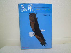 新古本　「鳥凧」 BIRD KITES Beauty・・・・・in the wind! 誠文堂新光社