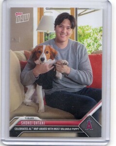 ●大谷翔平　カード　Vol.501　2023TOPPS NOW OFFSEASON #OS-19　2023/11/16　デコピン　限定　ロサンゼルス・エンゼルス