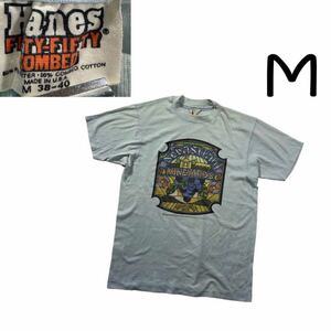 70s80sアメリカUSA製ヘインズTシャツ　M ステンドグラスカリフォルニアSWS0109wn3シングルステッチ