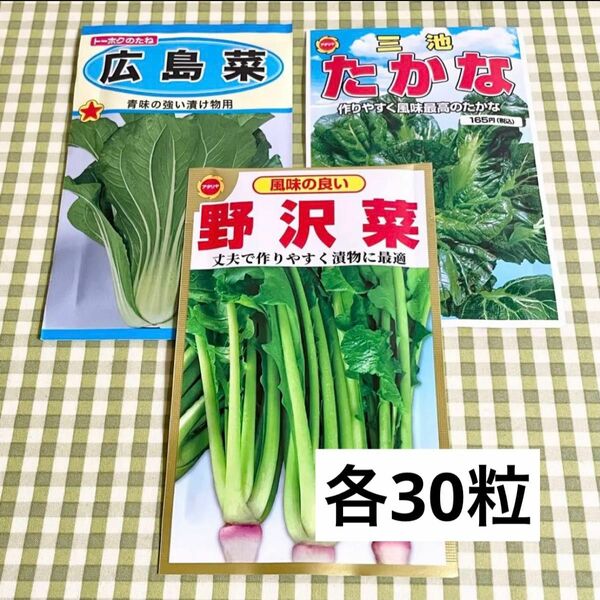 漬け物に 野菜の種 お裾分け 広島菜・たかな・野沢菜 各30粒＋α