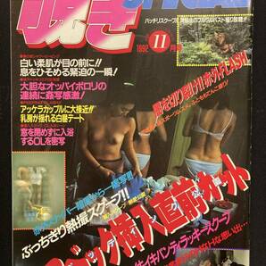 覗きSpecial 1992年11月号 サン出版 セクシーアクション系の画像1