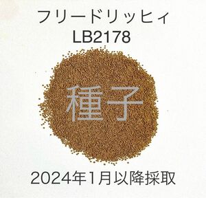 【種子】ギムノカリキウム属 フリードリッヒィ LB2178 100粒+α