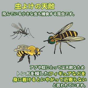  速達便／12cmオニヤンマ おにやんま 虫除け 君 フィギュア くん 効果 帽子 ゴルフ ブローチ 蚊よけ 虫除けオニヤンマ スズメバチ対策10個の画像6