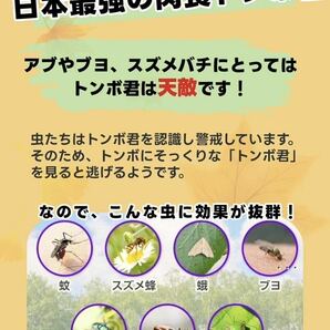  速達便／12cmオニヤンマ おにやんま 虫除け 君 フィギュア くん 効果 帽子 ゴルフ ブローチ 蚊よけ 虫除けオニヤンマ スズメバチ対策10個の画像5