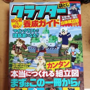 初心者でも安心！クラフター養成ガイド　マインクラフトで建築家になる！！ マイクラ職人組合／著