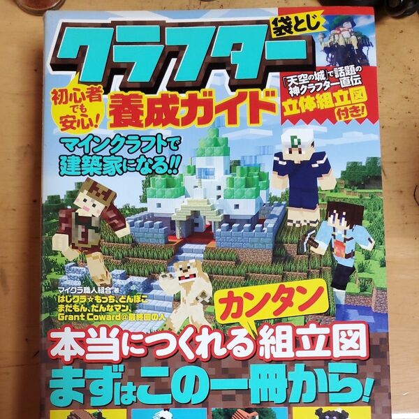 初心者でも安心！クラフター養成ガイド　マインクラフトで建築家になる！！ マイクラ職人組合／著