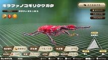 カブトクワガタ スペシャルコード ヘルクレスヘルクレス ネプチューン アトラスオオカブト ギラファノコギリクワガタ ミヤマクワガタ etc_画像2