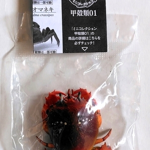 【ガチャ】 アサヒガニ ◆ 甲殻類01 いきもの大図鑑ミニコレクション バンダイ ガシャポンの画像2