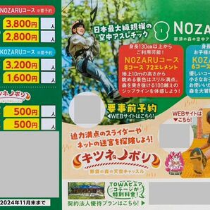 那須ハイランドパーク　NOZARU　特別利用券 4枚