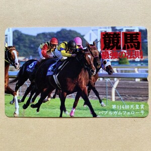 【未使用】 競馬テレカ 50度 バブルガムフェロー 第114回天皇賞 競馬最強の法則