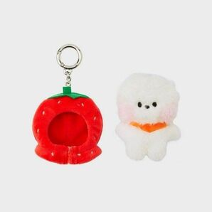 BT21 mini minini fruit フルーツぬいぐるみキーリング RJ