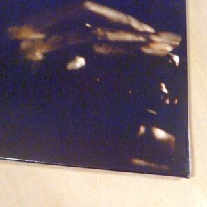 未開封 マイルス・デイヴィス Kind Of Blue 限定ブルーカラーHQ180g重量盤LP Miles Davis Bill Evans John Coltrane Cannonball Adderleyの画像9