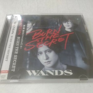 WANDS ワンズ 5期 オリジナルアルバム burn the secret 真っ赤なlip 特典DVD music video