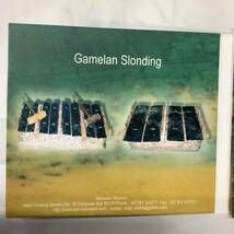 daintree dreamtime bali spa ガムラン インドネシア CD_画像4