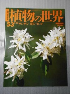 植物の世界 53　（週刊朝日百科）　/　サンザシ　カリン　リンゴ /　朝日新聞社　