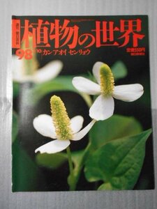 植物の世界 98　（週刊朝日百科）　/　カンアオイ　センリョウ /　朝日新聞社　