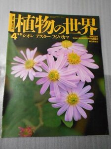 植物の世界 4　（週刊朝日百科）　/　シオン　アスター　フジバカマ /　朝日新聞社　