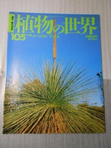 植物の世界 105　（週刊朝日百科）　/　ヤマノイモ　アロエ /　朝日新聞社　