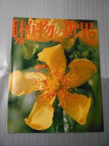 植物の世界 78　（週刊朝日百科）　/　オトギリソウ　マタタビ /　朝日新聞社　