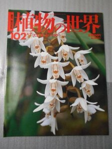 植物の世界 102　（週刊朝日百科）　/　エビネ　セッコク /　朝日新聞社　