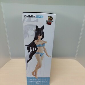 y042322t PLAMAX ギルティプリンセス GP 04 ギルティプリンセス 下着素体娘 ラン ノンスケール 組み立て式プラスチックモデルの画像3