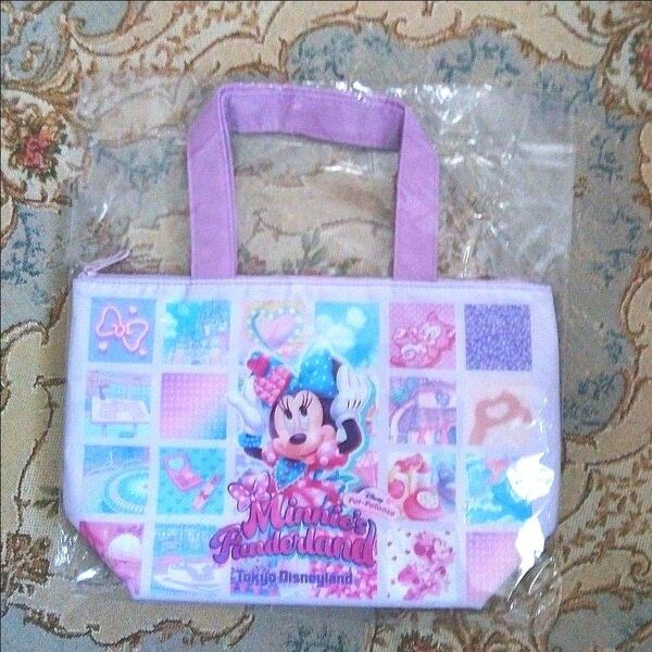 ☆ミニーマウス☆TDL　ミニーのファンダーランド　スーベニアランチケース【新品・未使用品】　　