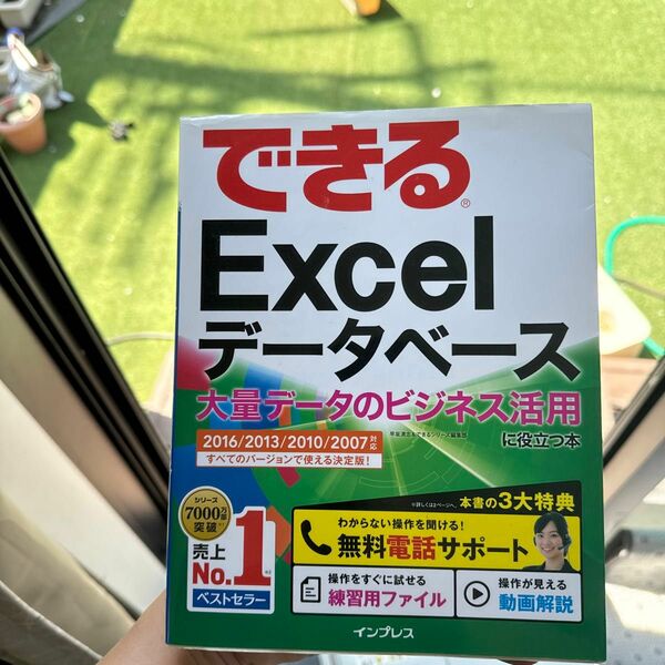 できるＥｘｃｅｌデータベース　大量データのビジネス活用に役立つ本 （できる） 早坂清志／著　できるシリーズ編集部／著