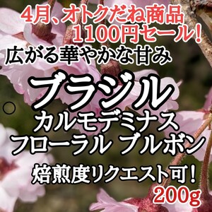 自家焙煎 コーヒー豆 注文後焙煎 ブラジルフローラル ブラボン200g #はなまる珈琲