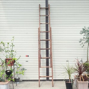 ヴィンテージ はしご セット ラック / アメリカ 木製 梯子 ladder ラダー ディスプレイ 店舗什器 ガーデニング アンティーク #506-295-54の画像2
