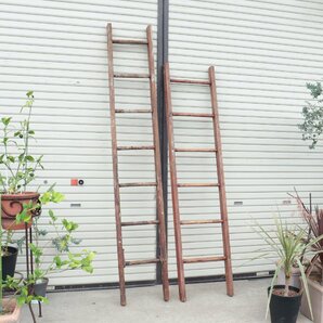 ヴィンテージ はしご セット ラック / アメリカ 木製 梯子 ladder ラダー ディスプレイ 店舗什器 ガーデニング アンティーク #506-295-54の画像1